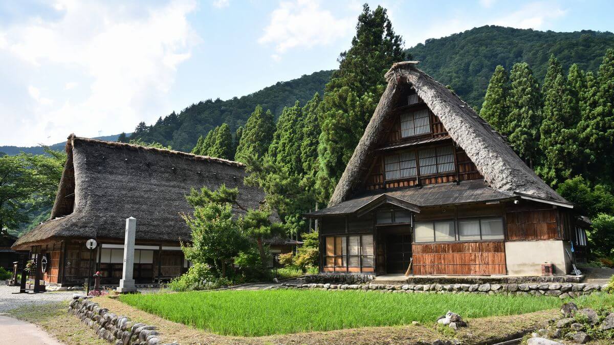 春の合掌集落住居